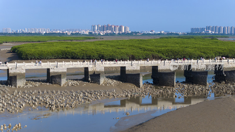 福建泉州洛阳桥风光航拍