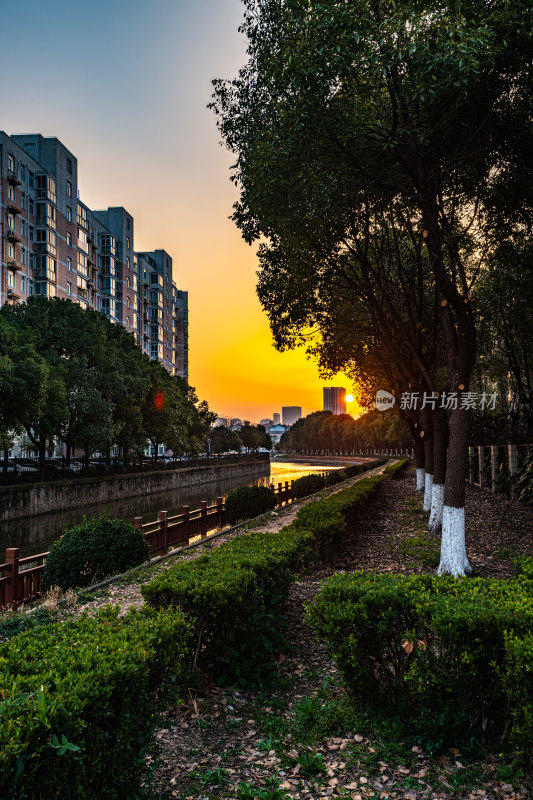 上海嘉定安亭老街菩提禅寺景点景观