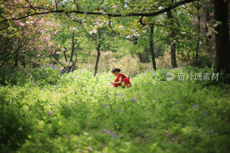 春天唯美二月兰花丛里奔跑的漂亮红裙女孩