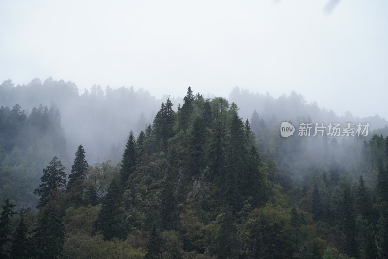 四川阿坝藏族羌族自治州四姑娘雪山风貌