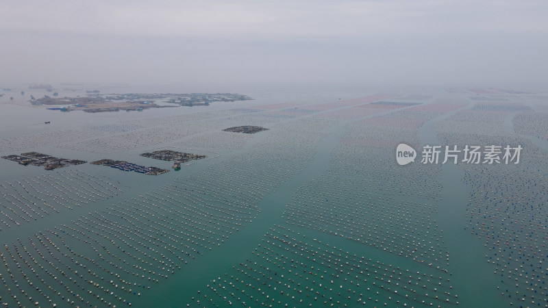 福建海水养殖场