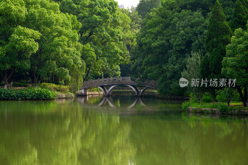 武汉市青山公园园林景观风光