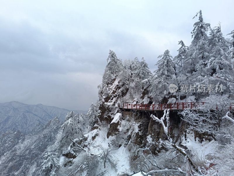 被雪覆盖的山林及栈道景观-老君山雪景