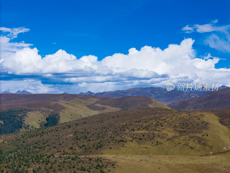 川西理塘格聂自然风景