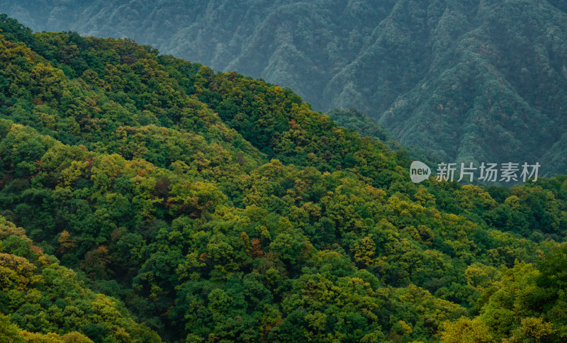 河南洛阳嵩县的白云山风景区秋色