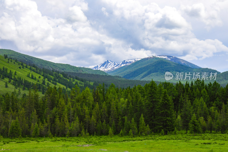 夏天新疆阿勒泰景色