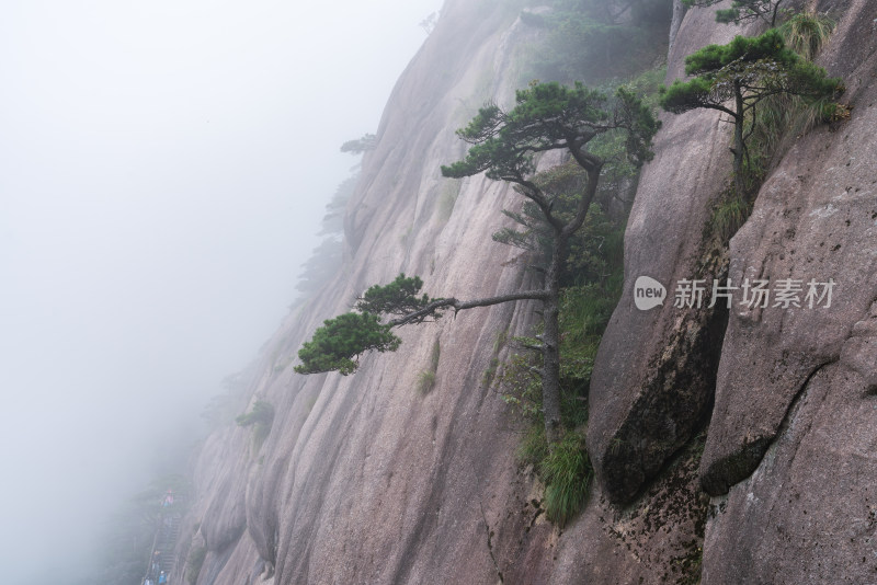 安徽黄山风光