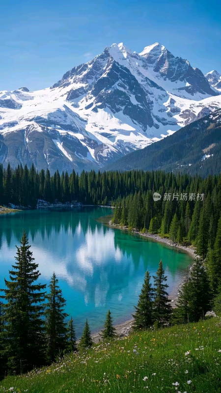 雪山下的森林湖泊