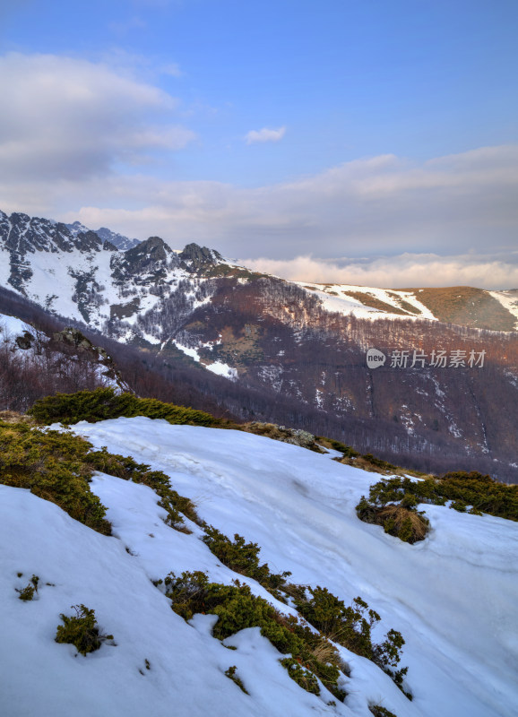 雪山植被自然风光