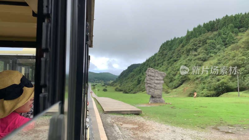 重庆武隆仙女山森林公园