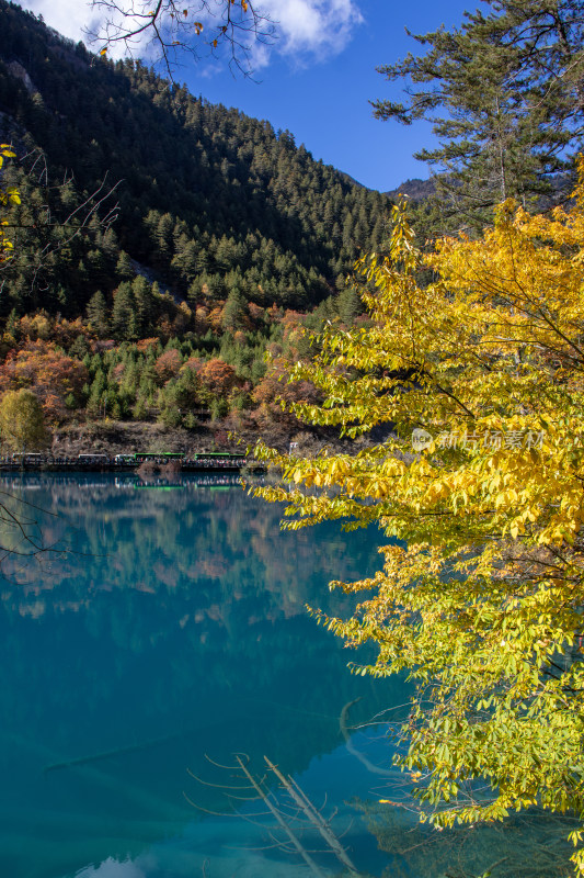 九寨沟秋色，平静蓝色水面与山林秋叶