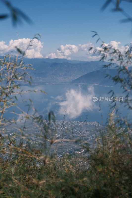 远山湖泊与近景植被风景