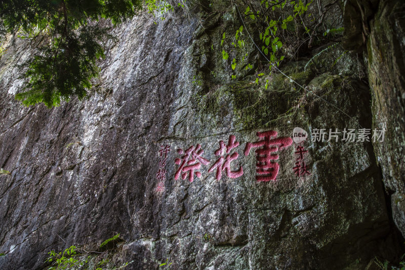 景宁雪花祭瀑布风光