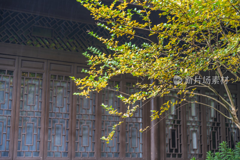 杭州宝石山连横纪念馆玛瑙寺旧址