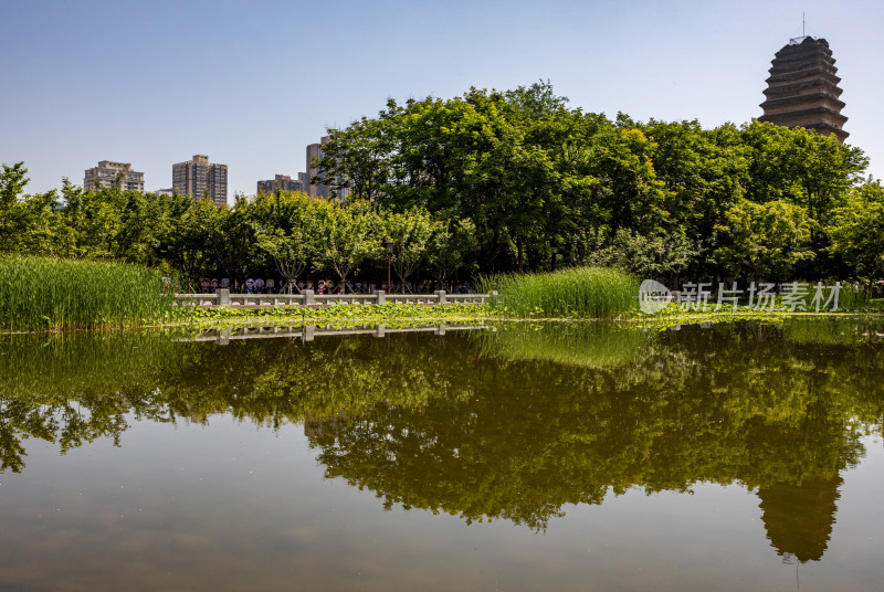 陕西西安小雁塔遗址公园西安博物馆景点景观