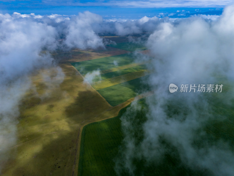 云海蓝天白云风景航拍图