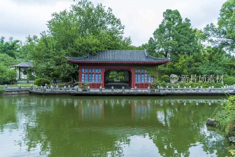 武汉东湖磨山景区盆景园