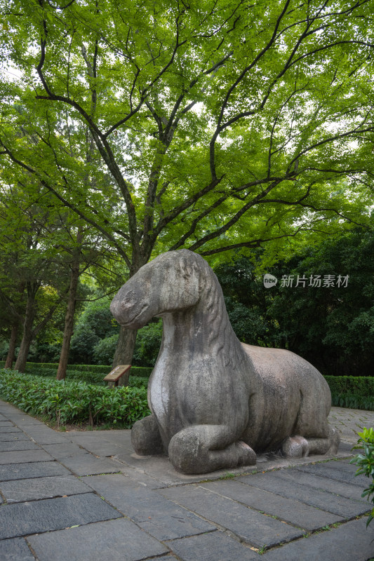 南京钟山明孝陵景区石像路夏季石马