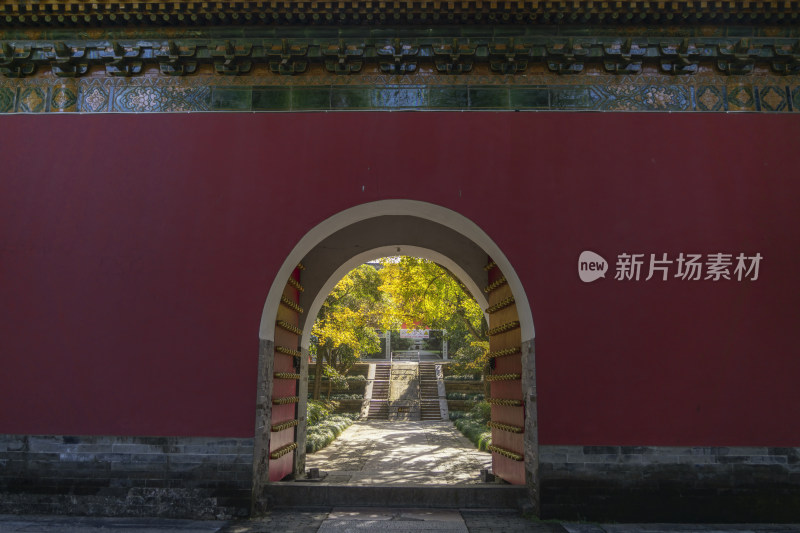南京中山陵古建筑与银杏