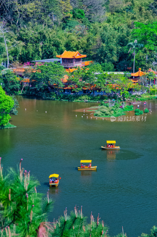 深圳仙湖植物园湖泊游船与碧绿树林