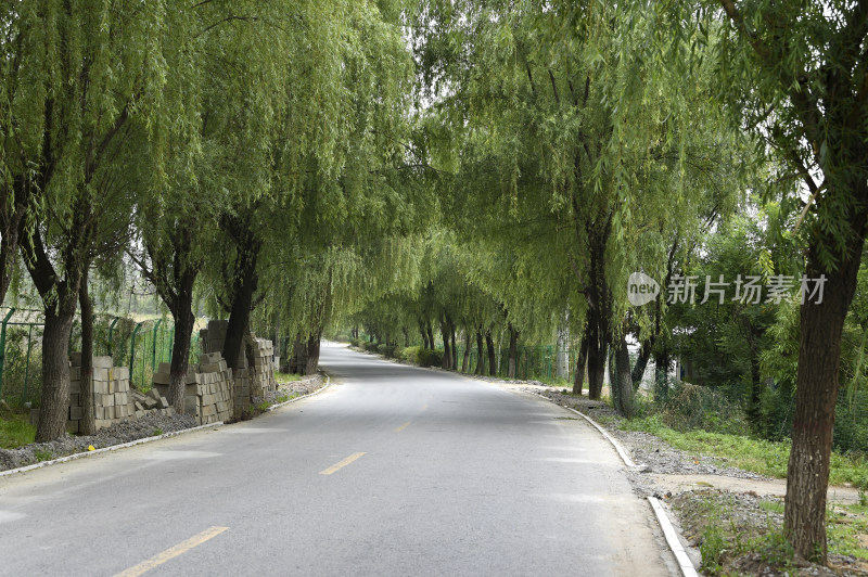 绿化好的乡村公路