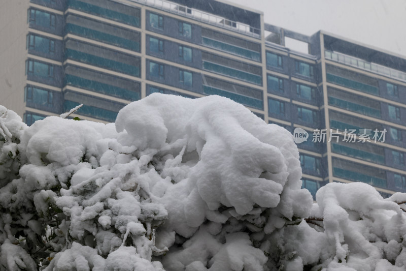 长沙雪景