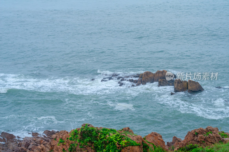 海岸上绿叶环绕，海水中波浪翻滚