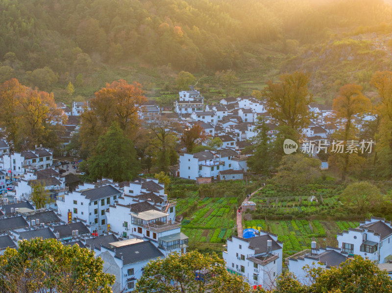 航拍江西婺源石城徽派建筑秋色枫叶村庄日出