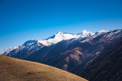 新疆天山山脉秋天雪山牧场风景