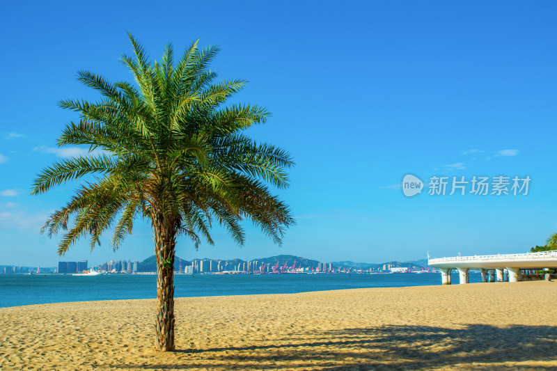 厦门白城沙滩风景