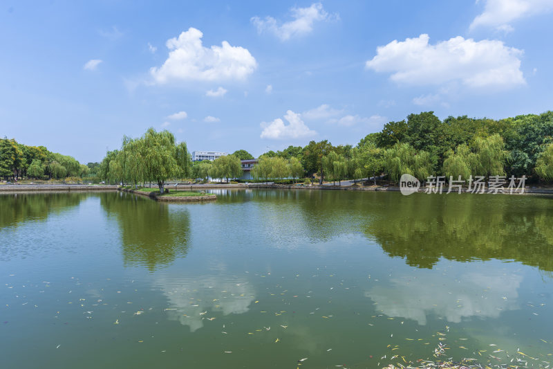 武汉蔡甸汤湖公园生态园林风景