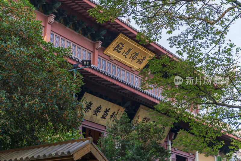 杭州西湖飞来峰灵隐寺千年古刹古建筑