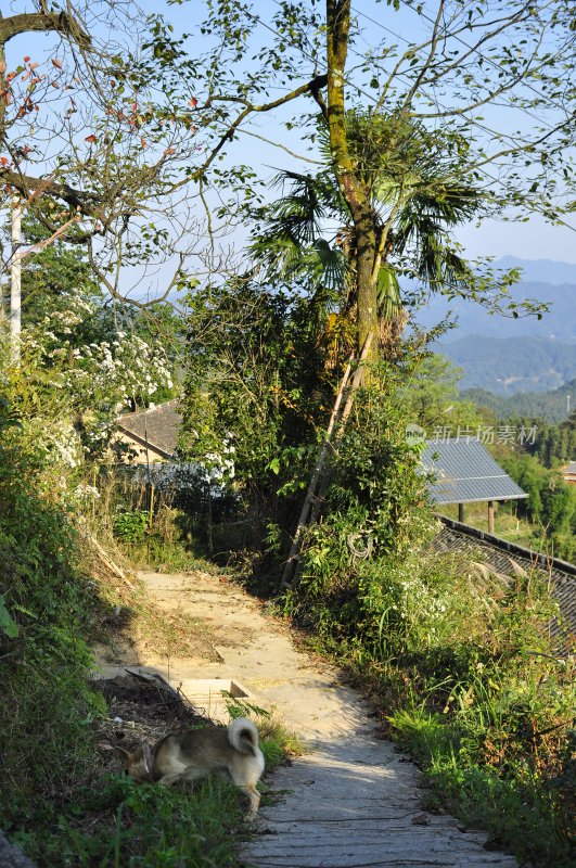 娄底风景 自然风光 风景名胜