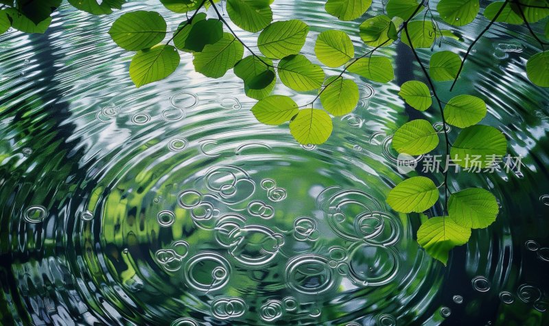 小雨绿叶水面雨滴涟漪水波纹下雨背景