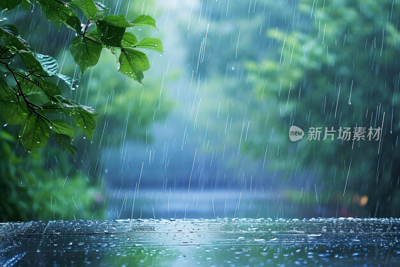 自然风景植物背景雨水