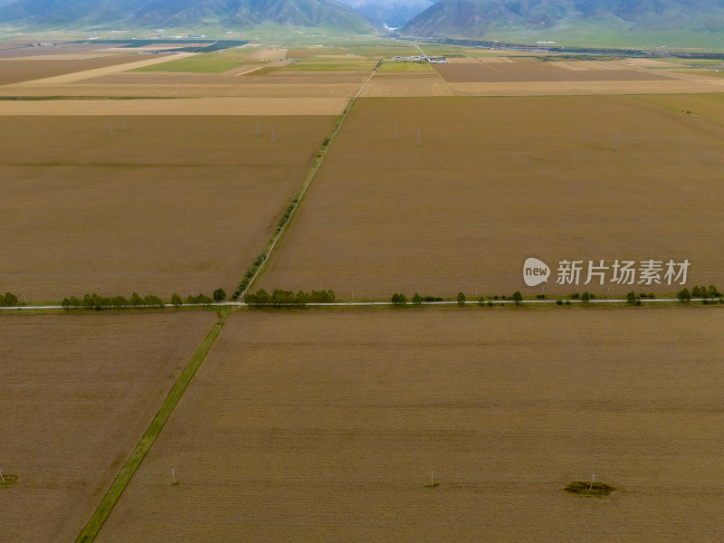 青海源门农业种植航拍图