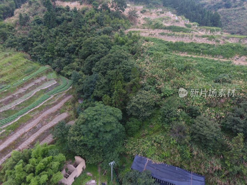 杨家山煤矿遗址