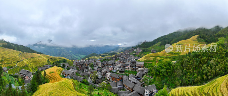 广西桂林龙脊梯田秋收稻田航拍风景