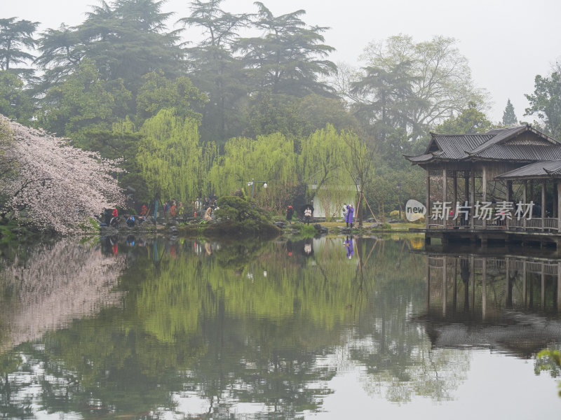 杭州西湖花港观鱼风景