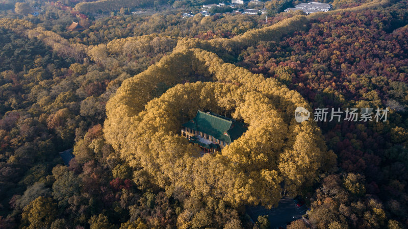 南京美龄宫秋景航拍（图1）