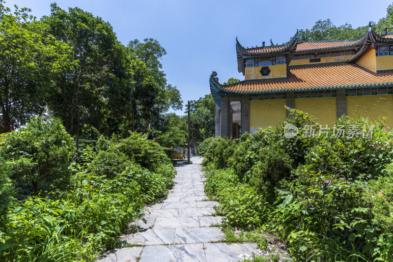 武汉洪山区宝通禅寺风景