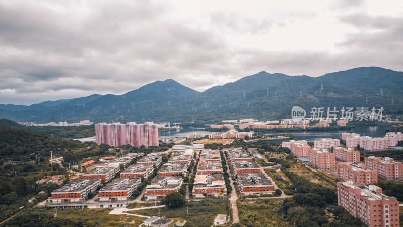 仰恩大学