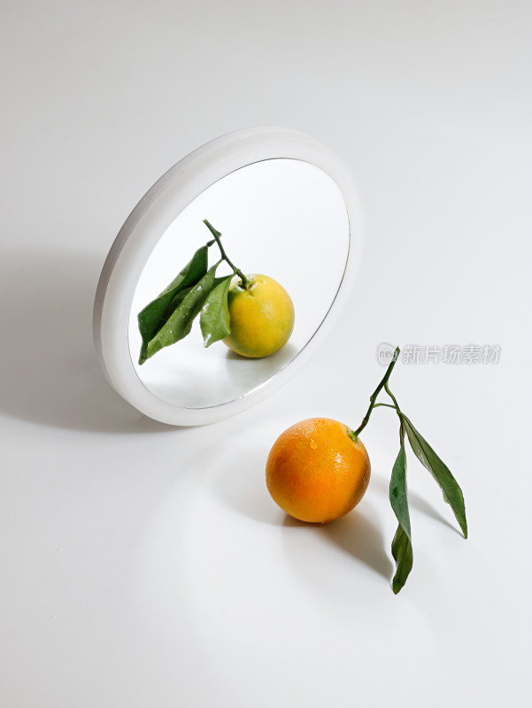 白色桌面上的新鲜水果柑橘