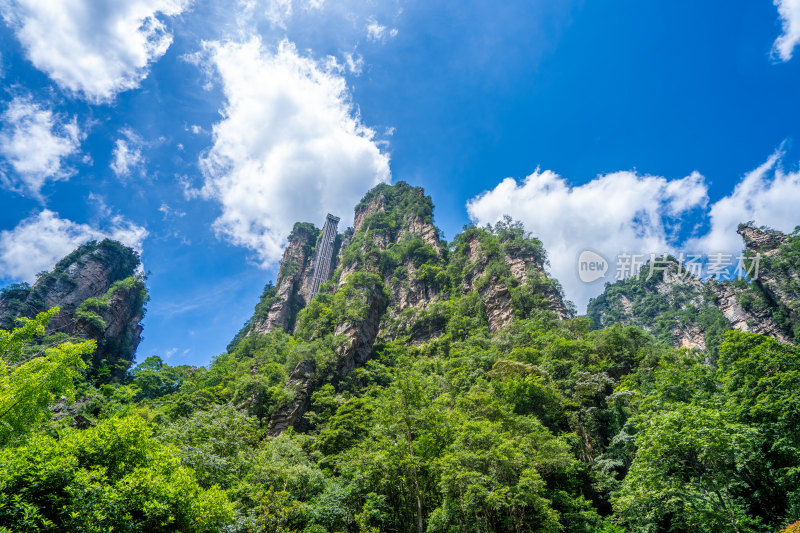 中国湖南张家界景区奇特山峰与茂密森林