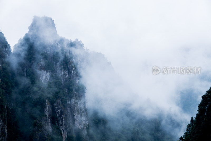 云雾缭绕的高山森林