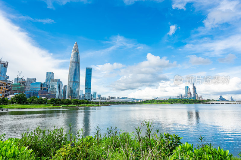 深圳南山深圳湾城市风光