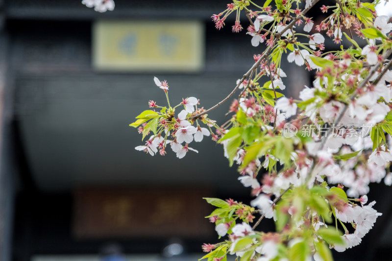 江苏无锡鼋头渚风景区