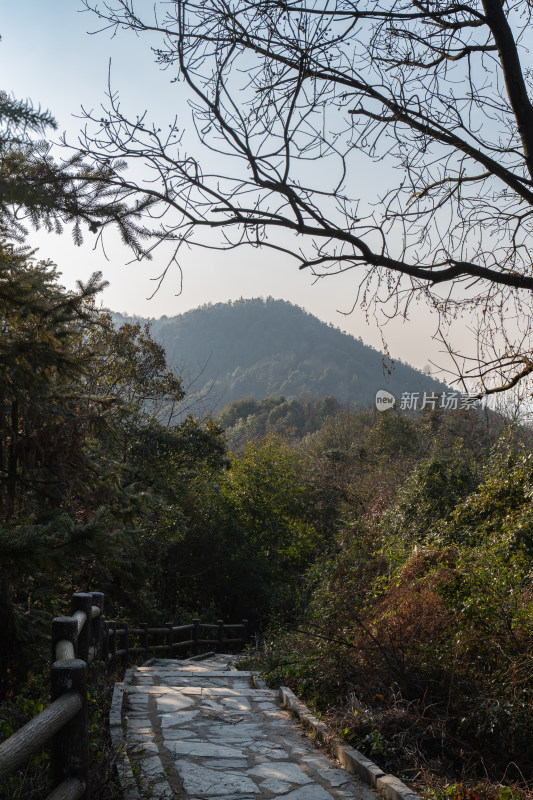 山间石板路 周围环绕茂密树林