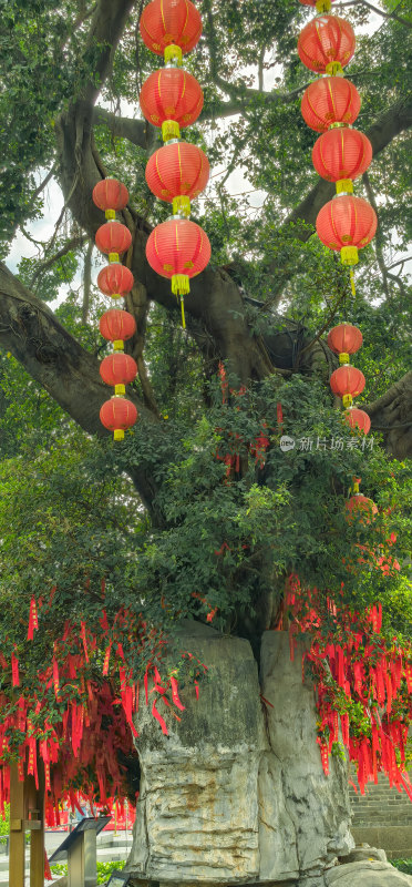 广州市荔湾湖公园许愿树