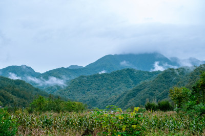 汉中留坝火烧店镇秦岭深处的山村田园风光